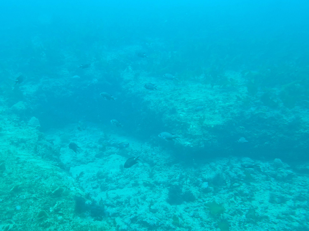 Submarine Tour - Udo Submarine-济州必去景点