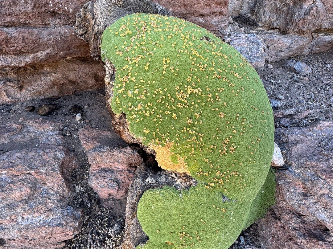 Siloli Desert-乌尤尼必去景点