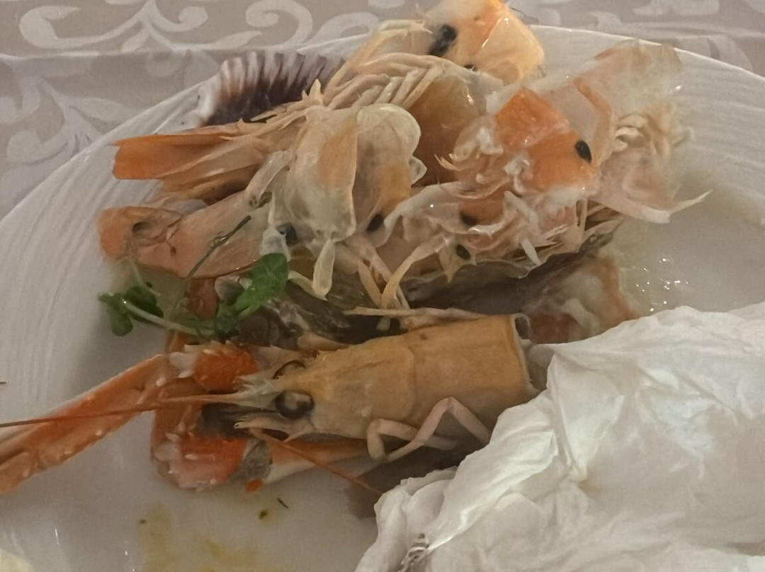麦地那日光浴及海水浴酒店主图