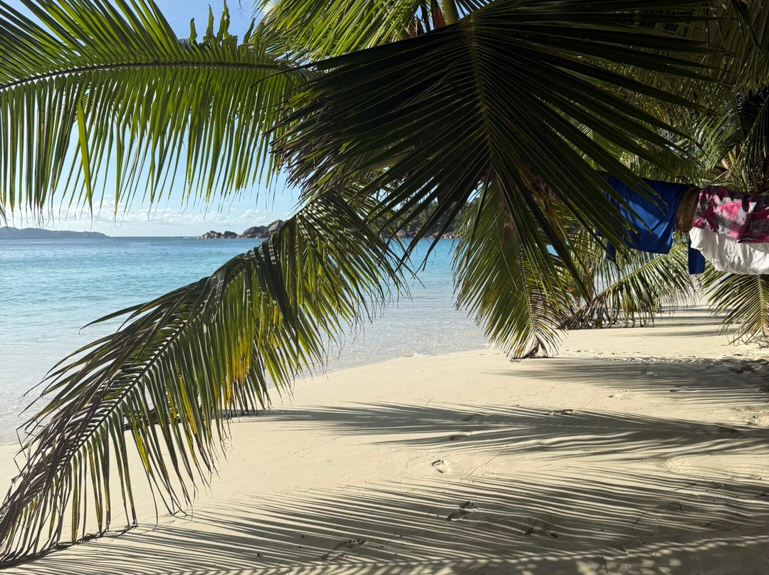 Grand Anse beach-马埃大安塞区必去景点