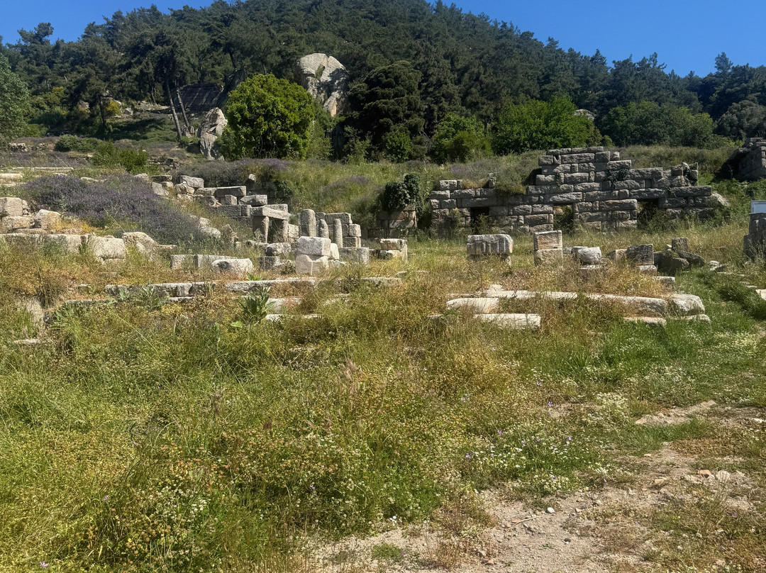 Labranda Ruins-穆拉必去景点