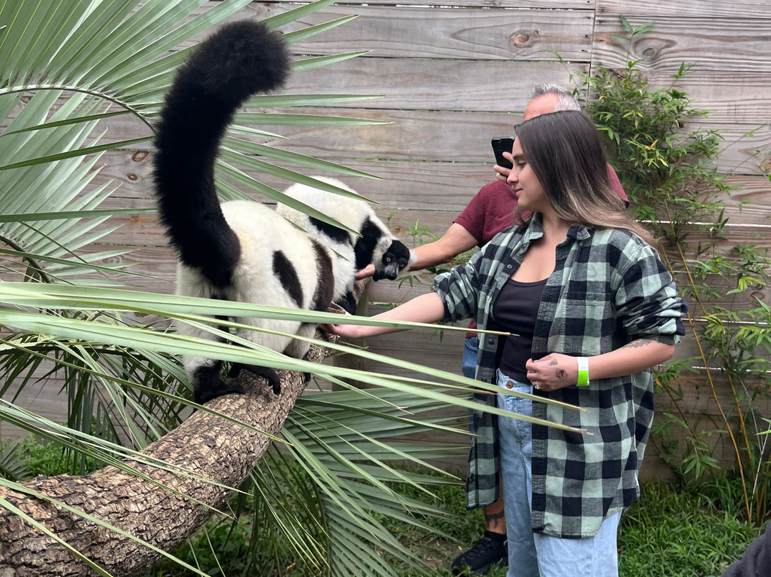 North Florida Wildlife Center-Lamont必去景点
