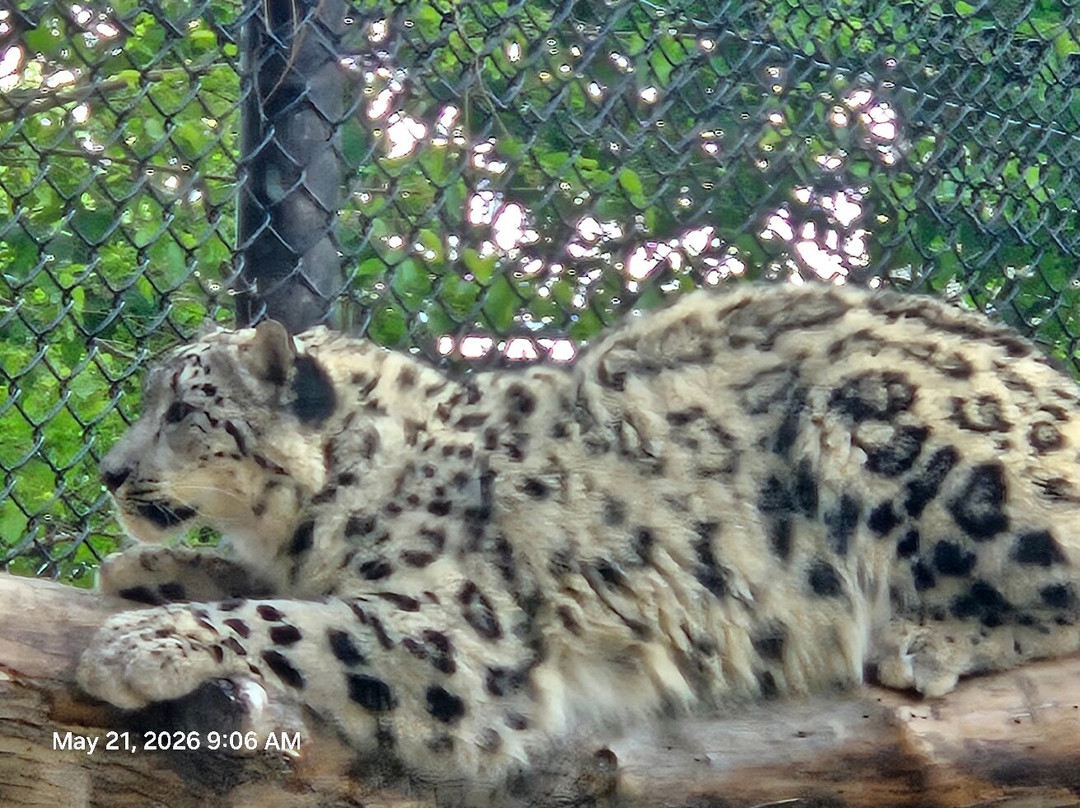 Great Plains Zoo-苏福尔斯必去景点