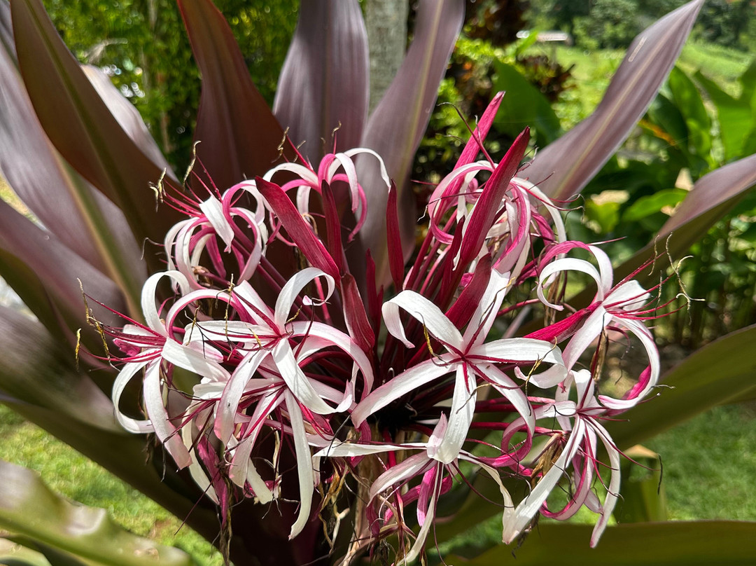 Jacana Farm Tours-奥乔里奥斯必去景点