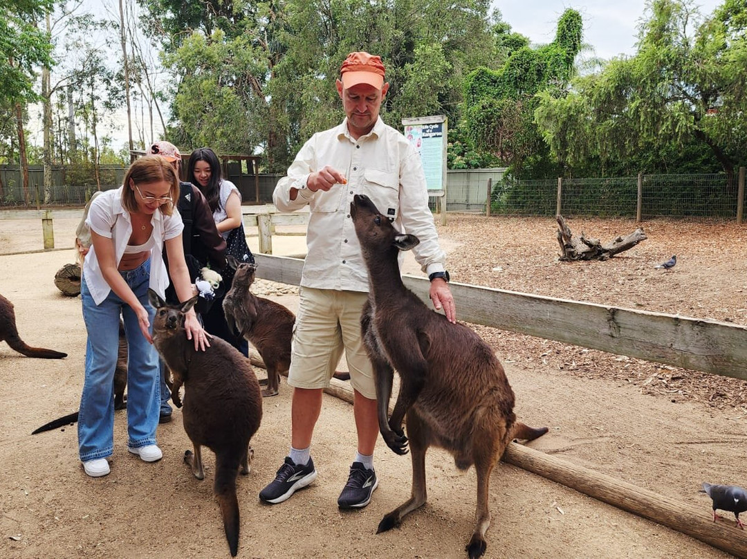 Sydney Private  Guided Tours-悉尼必去景点