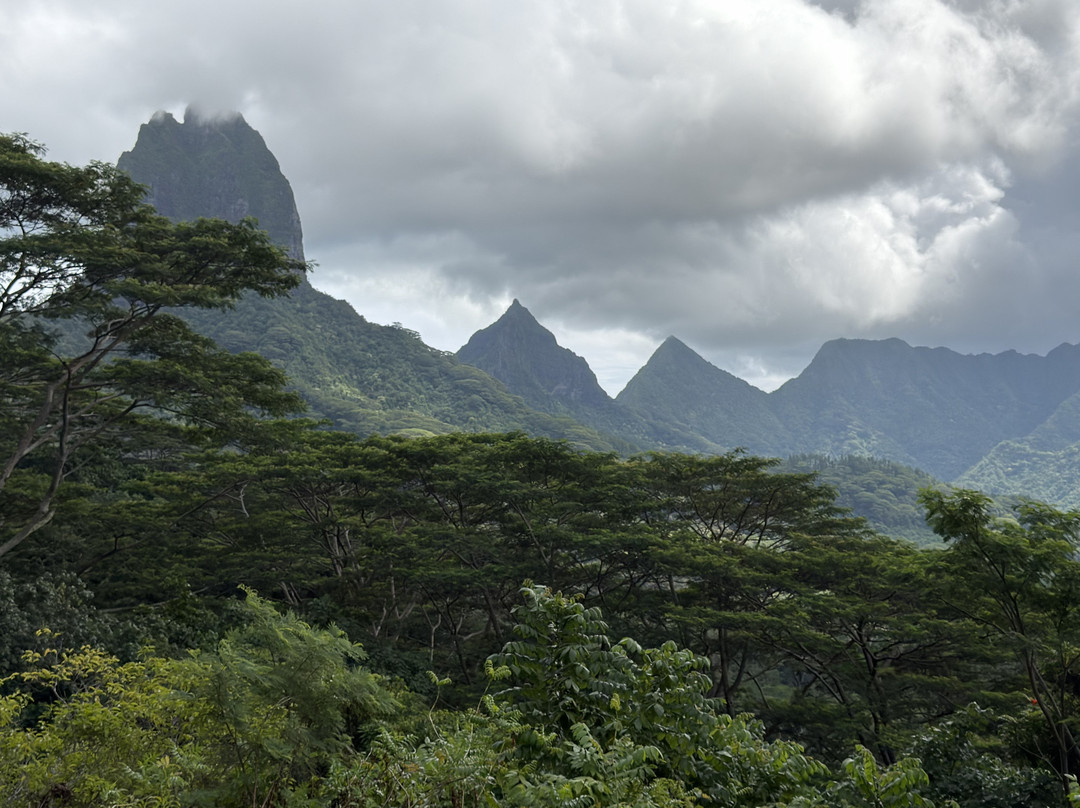 贝尔维德观景台-莫雷阿岛必去景点
