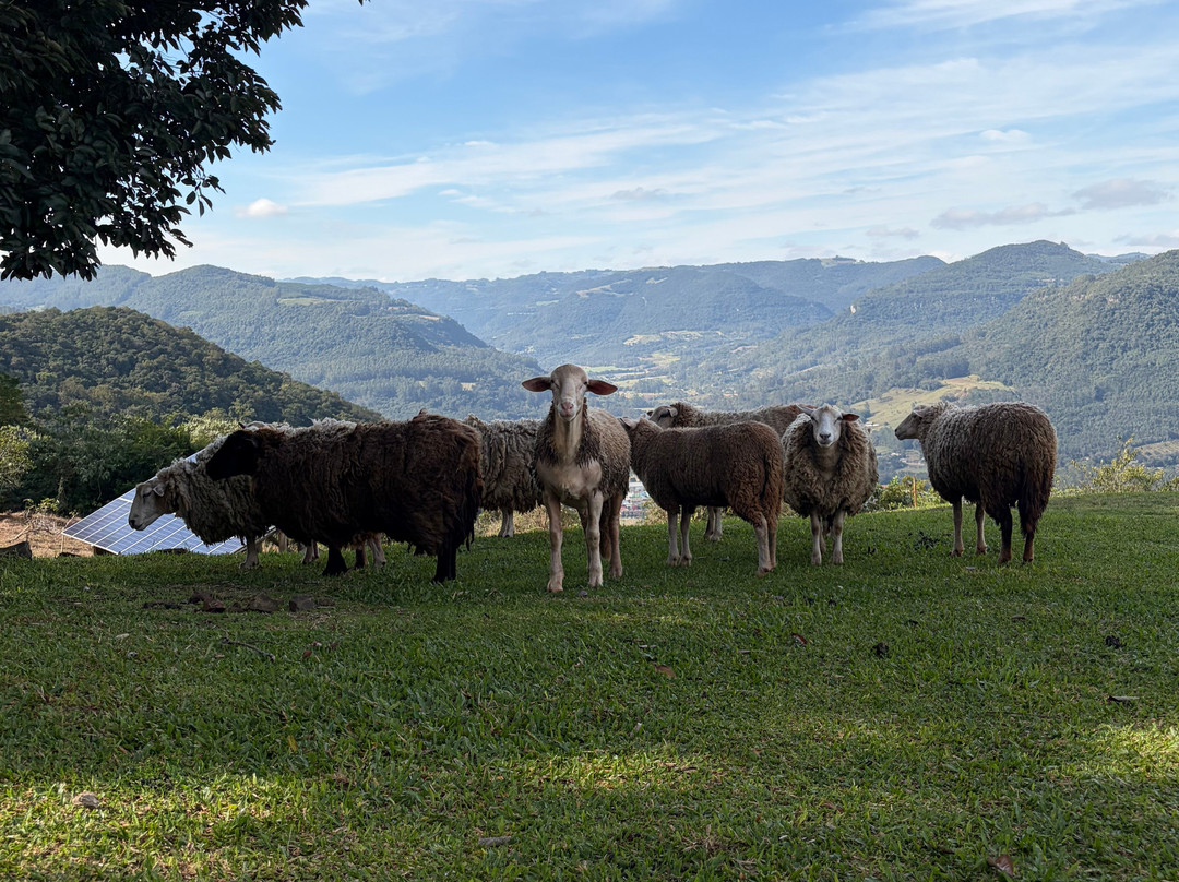 Morro do Vento-Picada Cafe必去景点