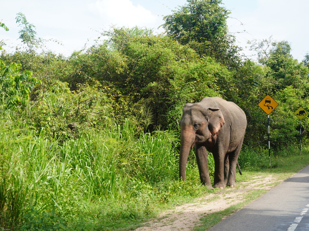 Tour In Lanka-尼甘布必去景点