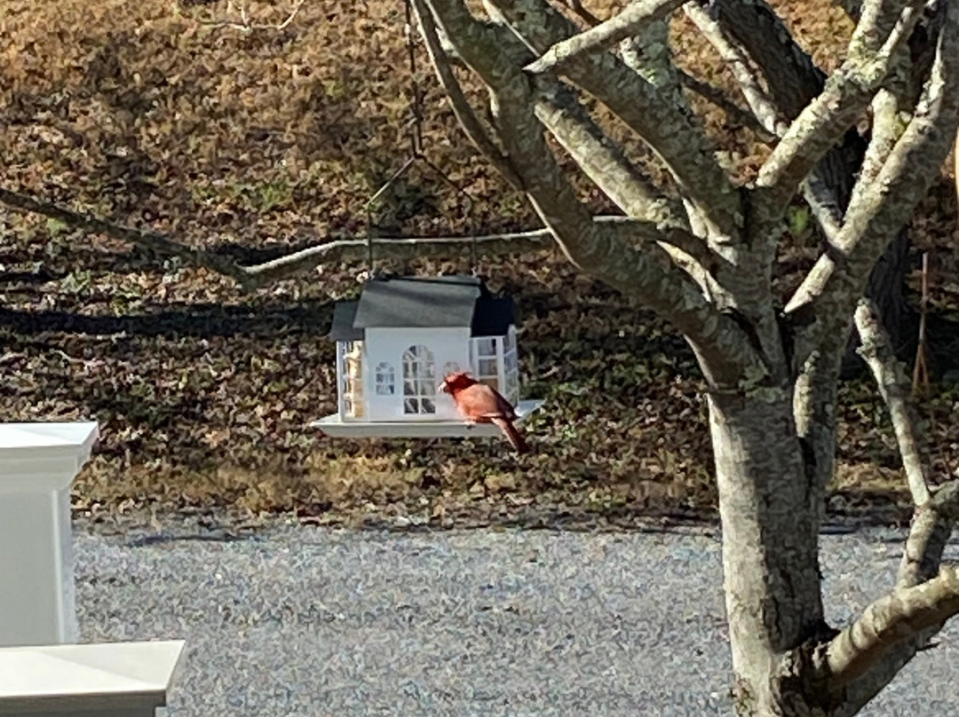 布里尔利山旅馆主图