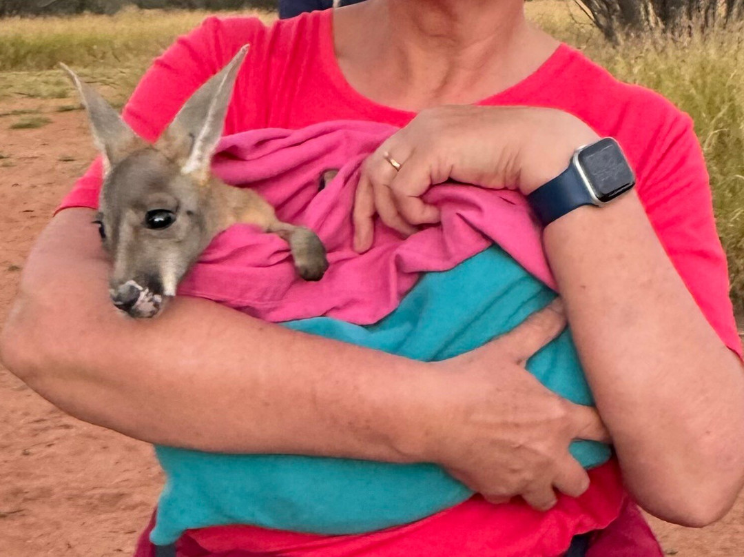 The Kangaroo Sanctuary-爱丽斯泉必去景点