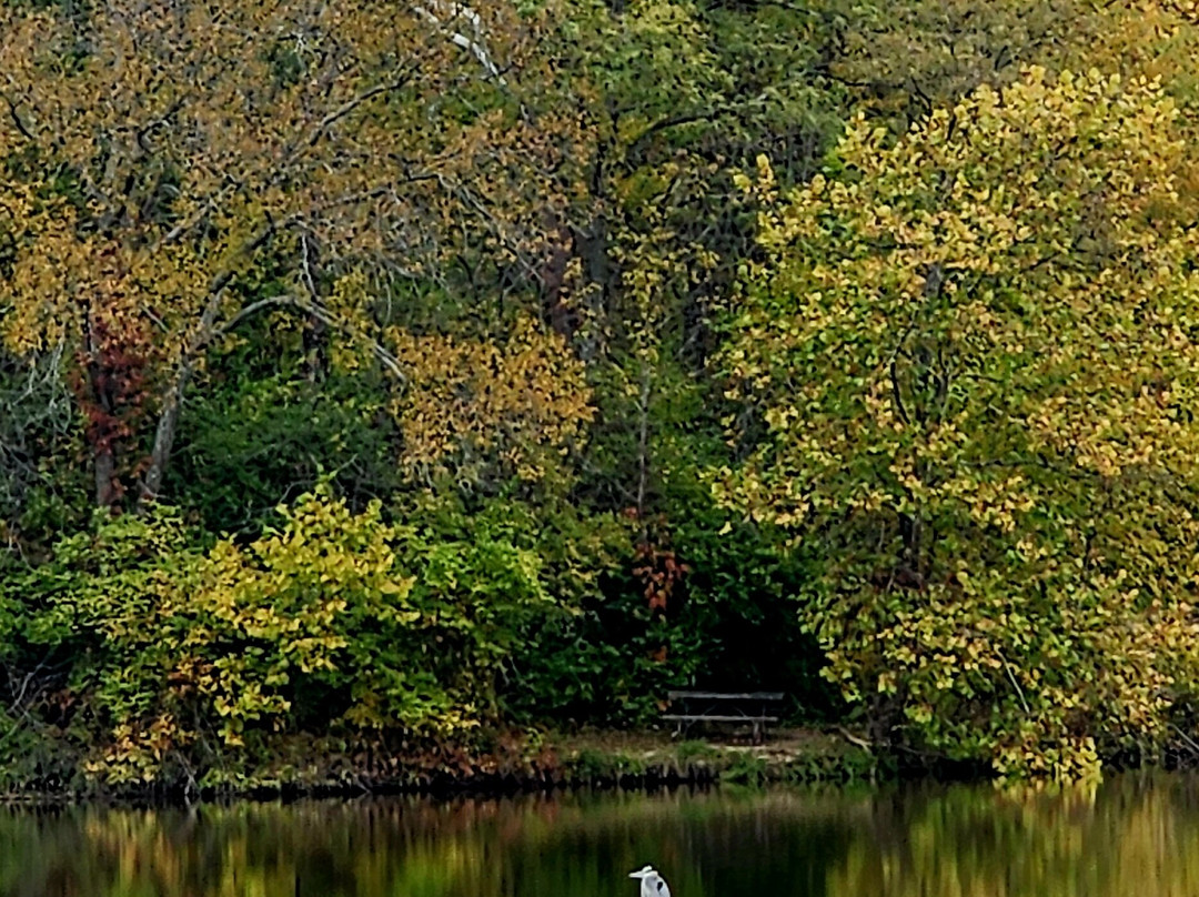 Stonelick State Park-Pleasant Plain必去景点