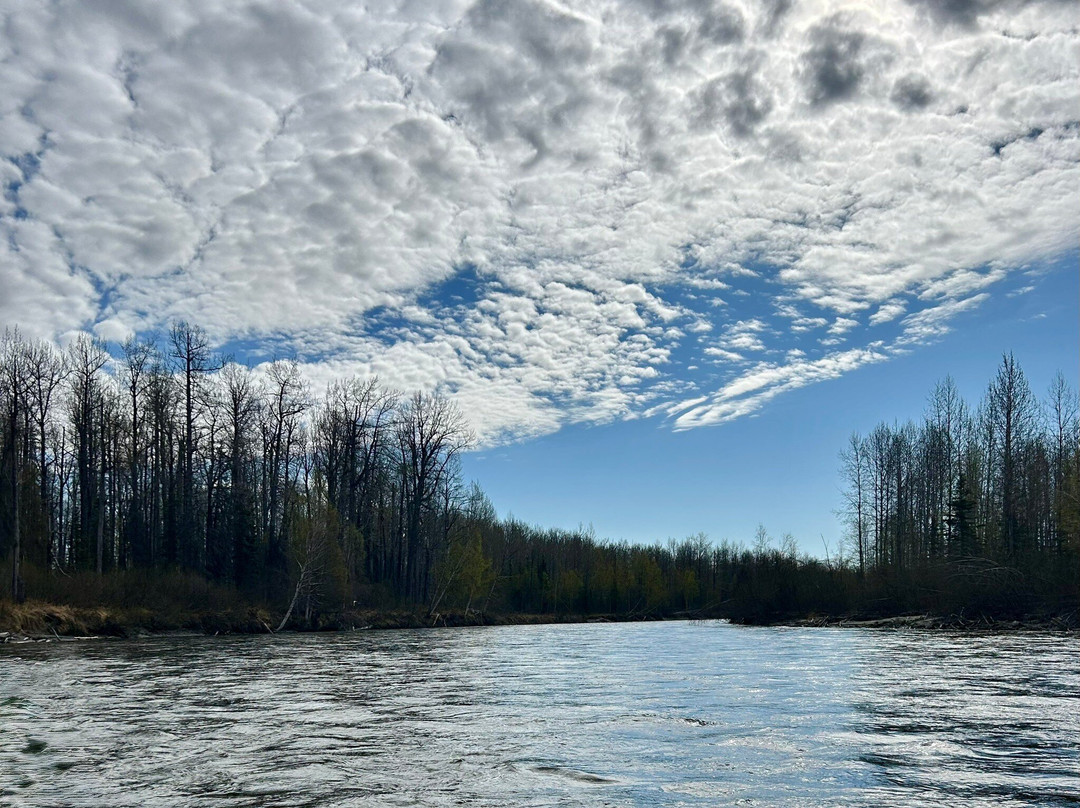 Talkeetna River Guides - Day Trips-塔尔基特纳必去景点