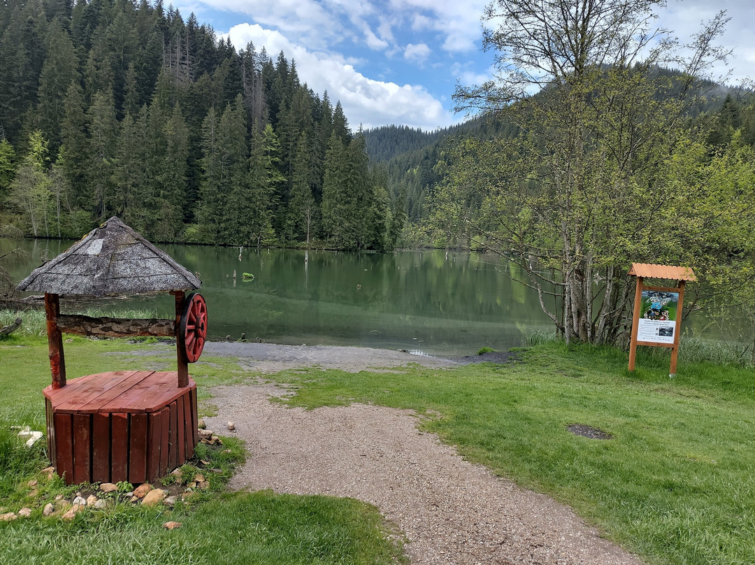 Lake Izvorul Muntelui (Lake Bicaz)-Piatra Neamt必去景点