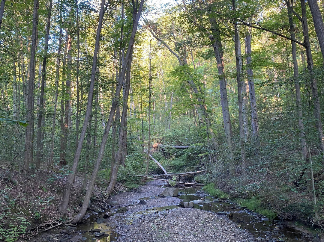 Blue Hen Falls-Brecksville必去景点