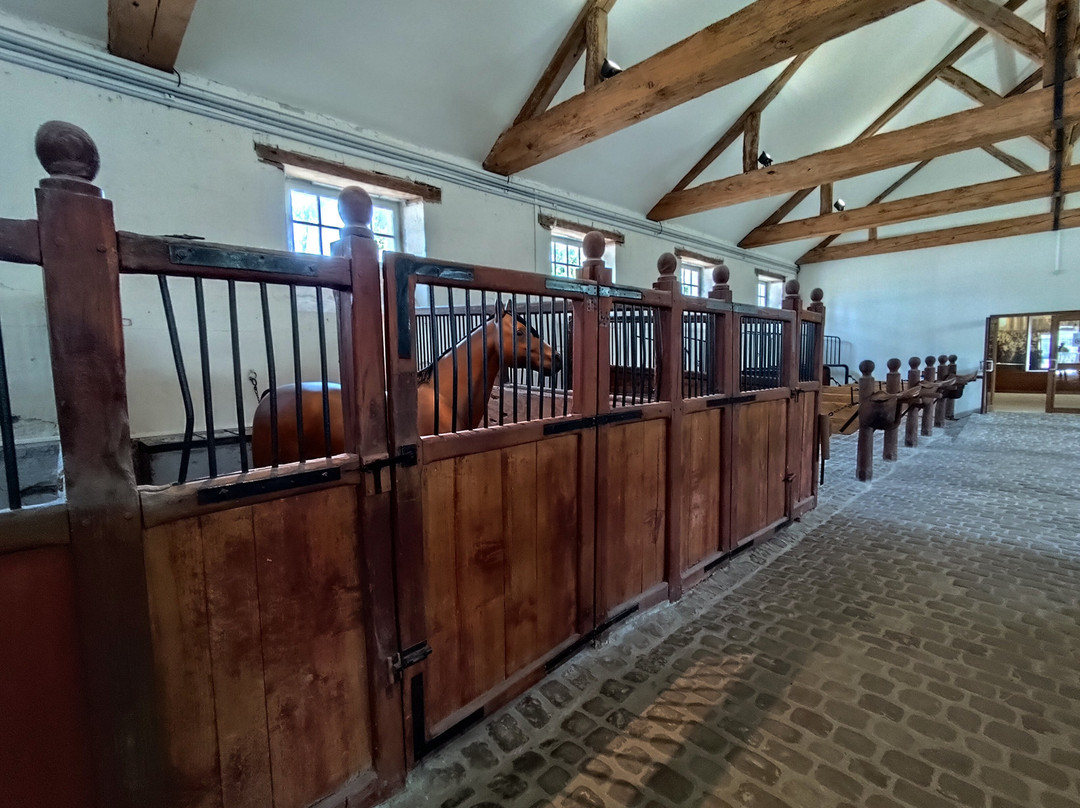 Musée de la Cavalerie-梭缪尔必去景点