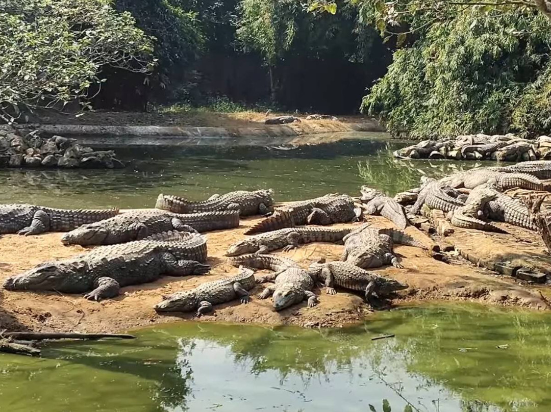 Nandankanan Zoological Park-布巴内斯瓦尔必去景点