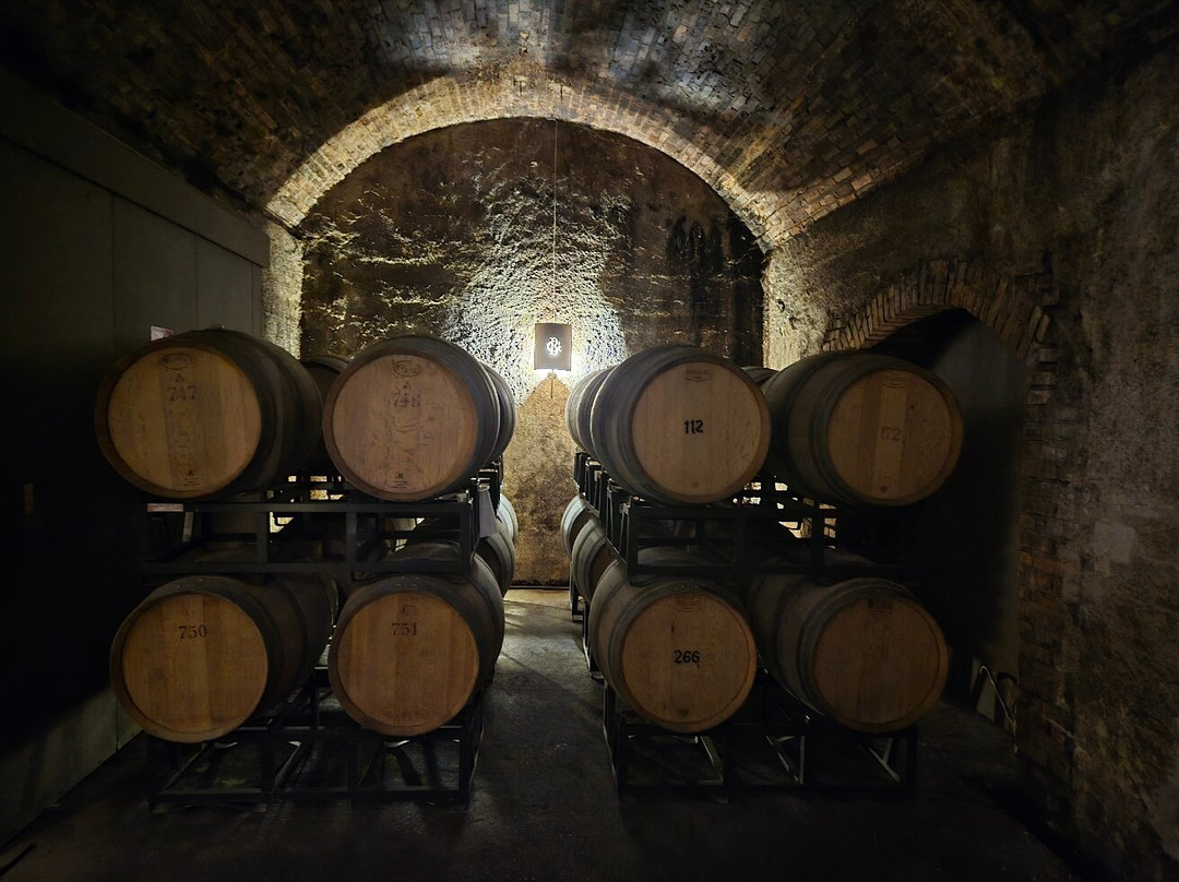 Cantine Berlucchi-Borgonato必去景点
