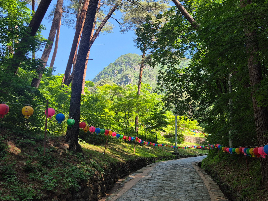 Bubheungsa Temple-宁越郡必去景点