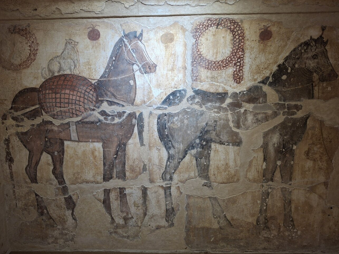 Museo Archeologico Nazionale Di Paestum-Paestum必去景点