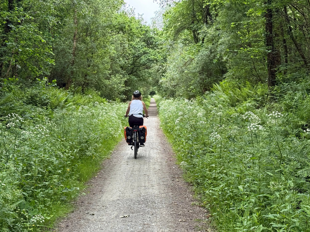 Tarka Trail Cycle Hire-巴恩斯特珀尔必去景点