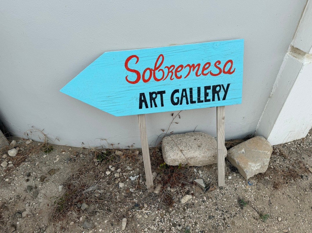 Sobremesa art Gallery-Kralendijk必去景点
