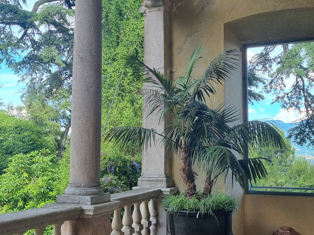 Giardini Botanici dell'Isola Madre-斯特雷萨必去景点