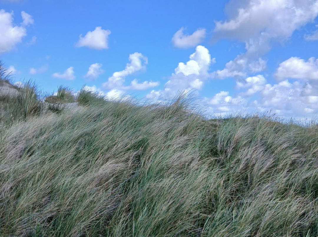 Jan Plezier Huifkartochten Texel-De Waal必去景点