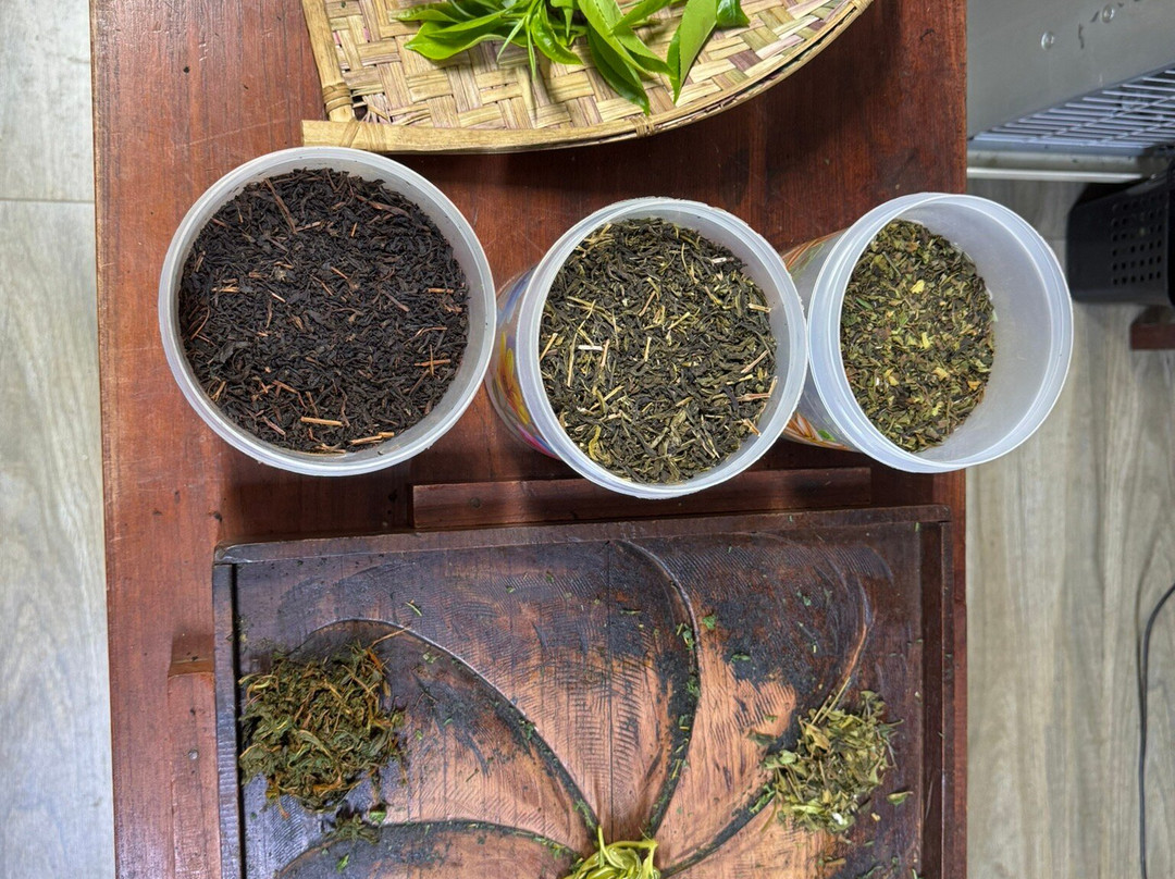 Ella Organic Tea Garden-Heeloya必去景点