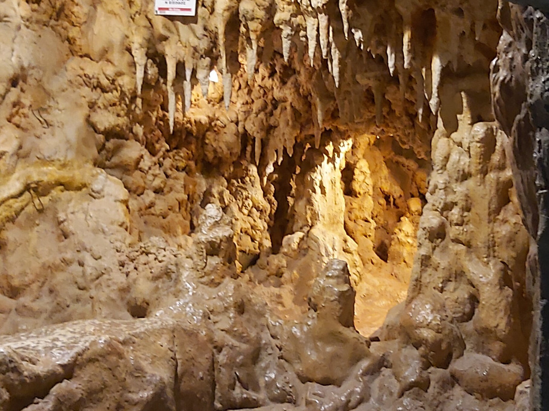 The Natural History Museum of Crete-伊拉克利翁必去景点