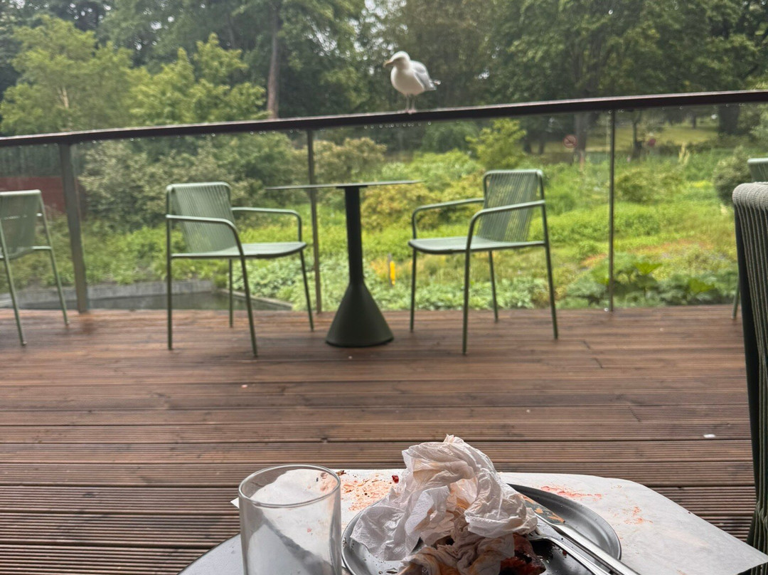 爱丁堡皇家植物园-爱丁堡必去景点