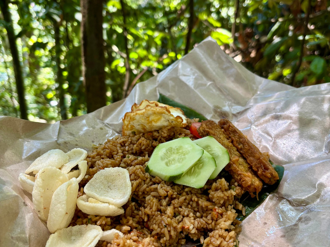 Bukit Lawang Adventure-武吉拉旺必去景点