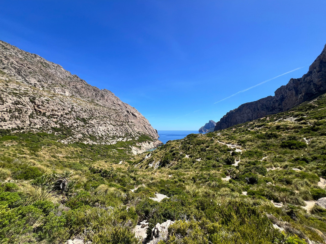 Cala Boquer-Pollenca必去景点