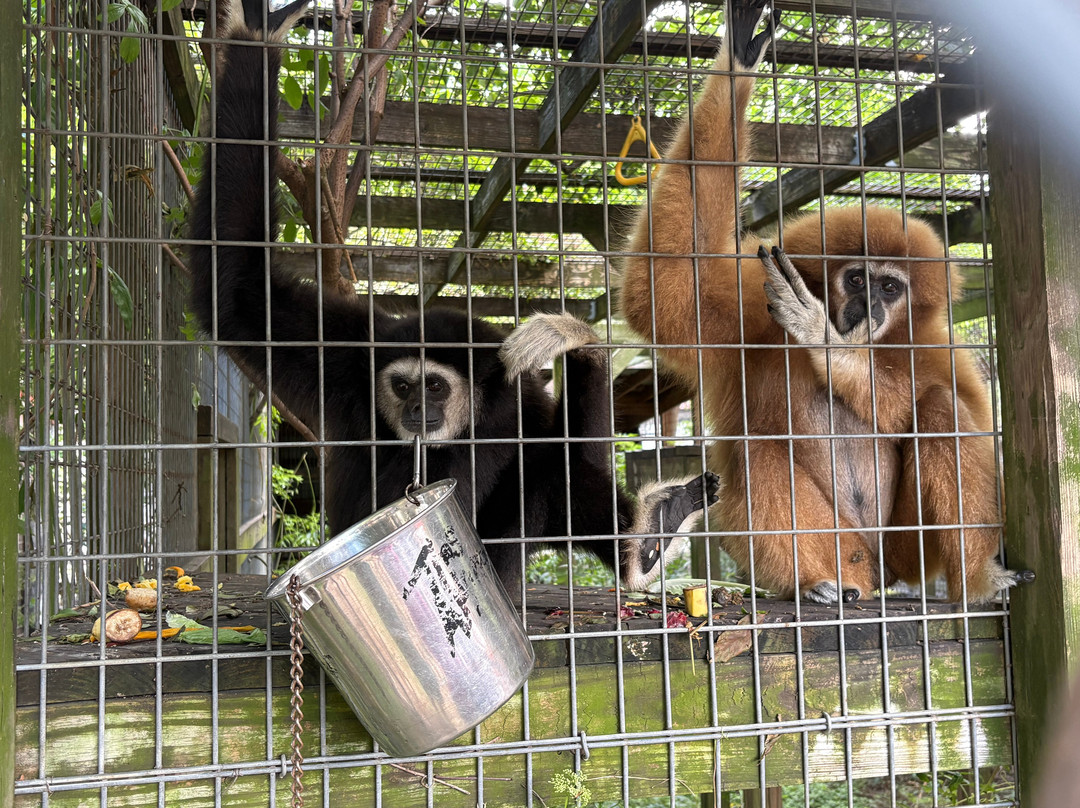 TGR Exotics Wildlife Park-斯普林必去景点