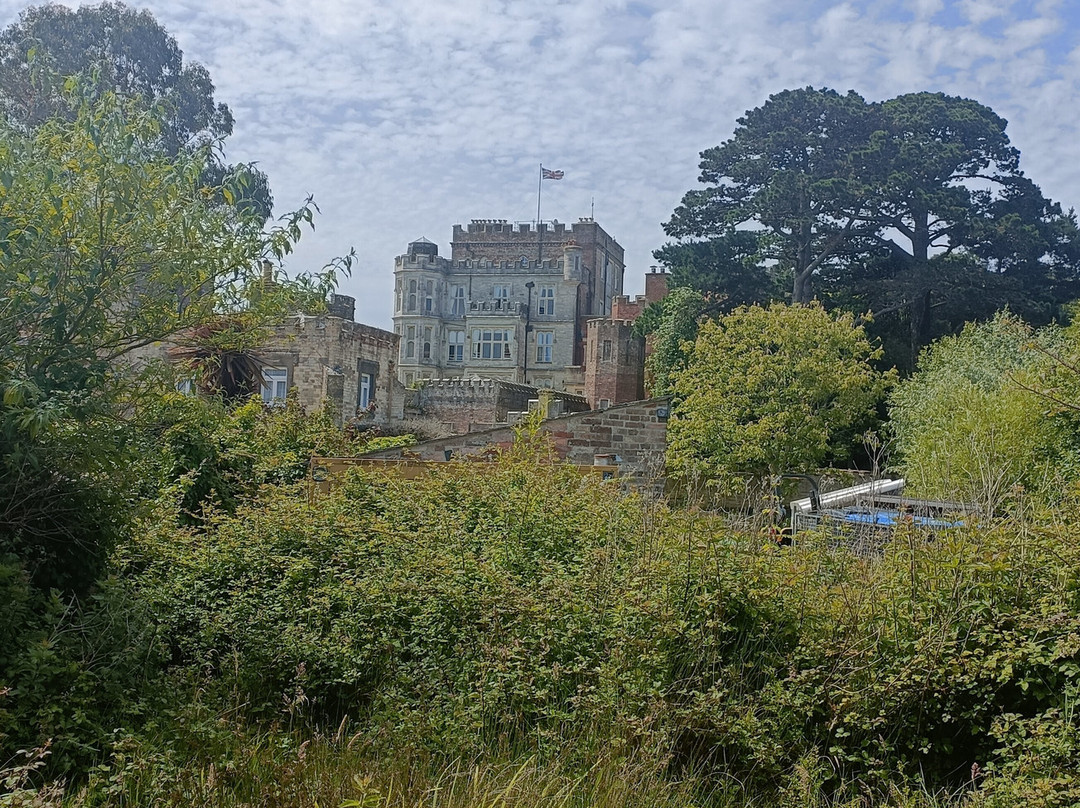 Brownsea Island-普尔必去景点