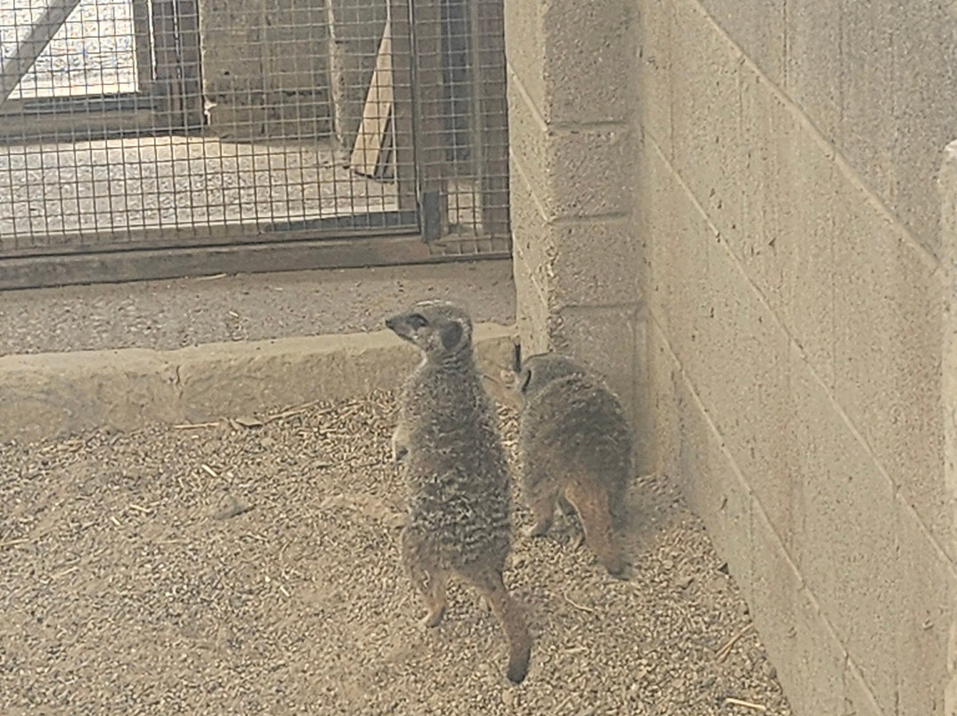 Ponderosa Zoo-Heckmondwike必去景点