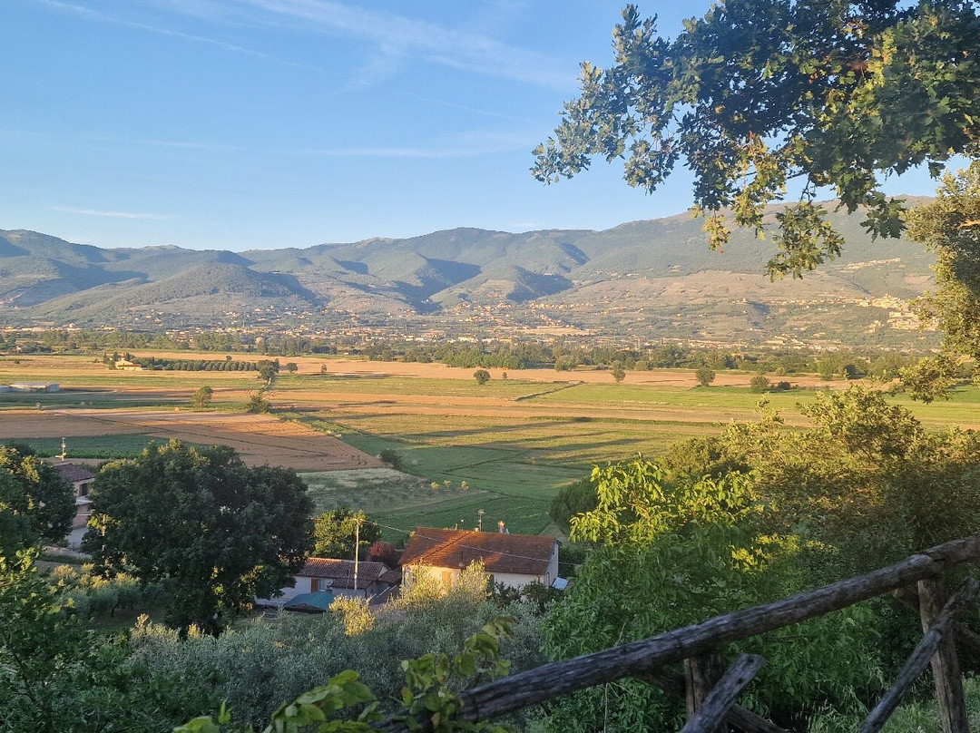 Agriturismo i Mille Ulivi主图