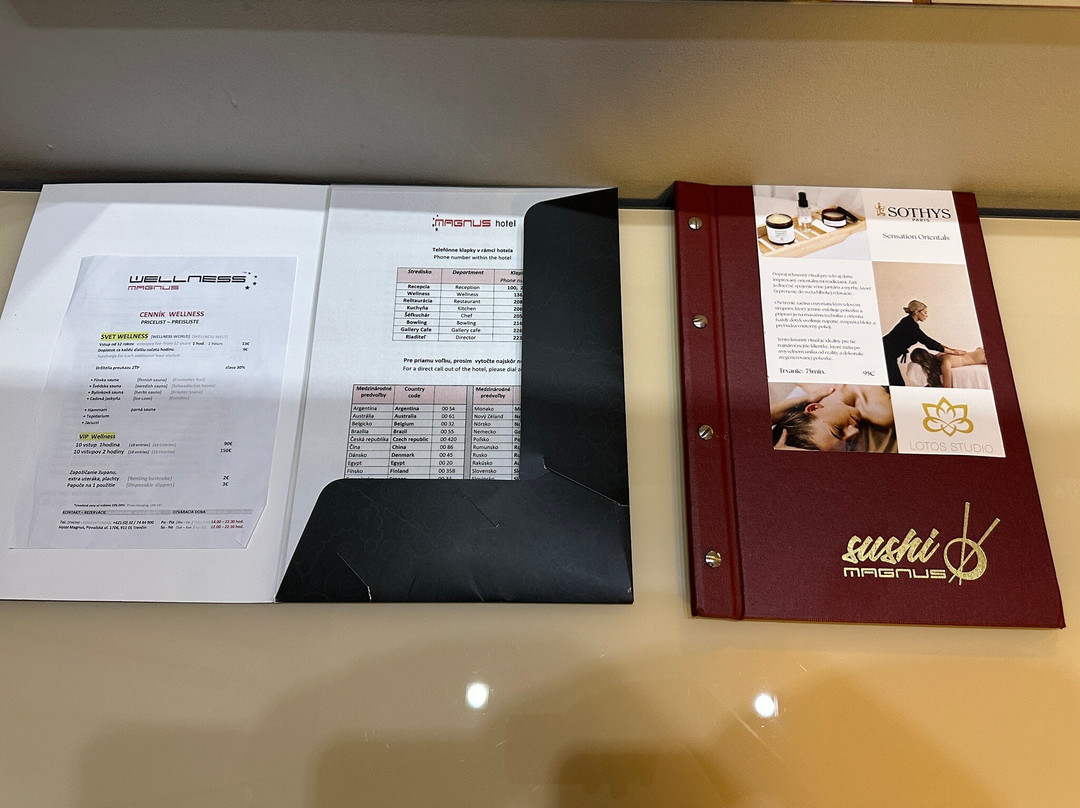 Hotel Magnus Trenčín主图