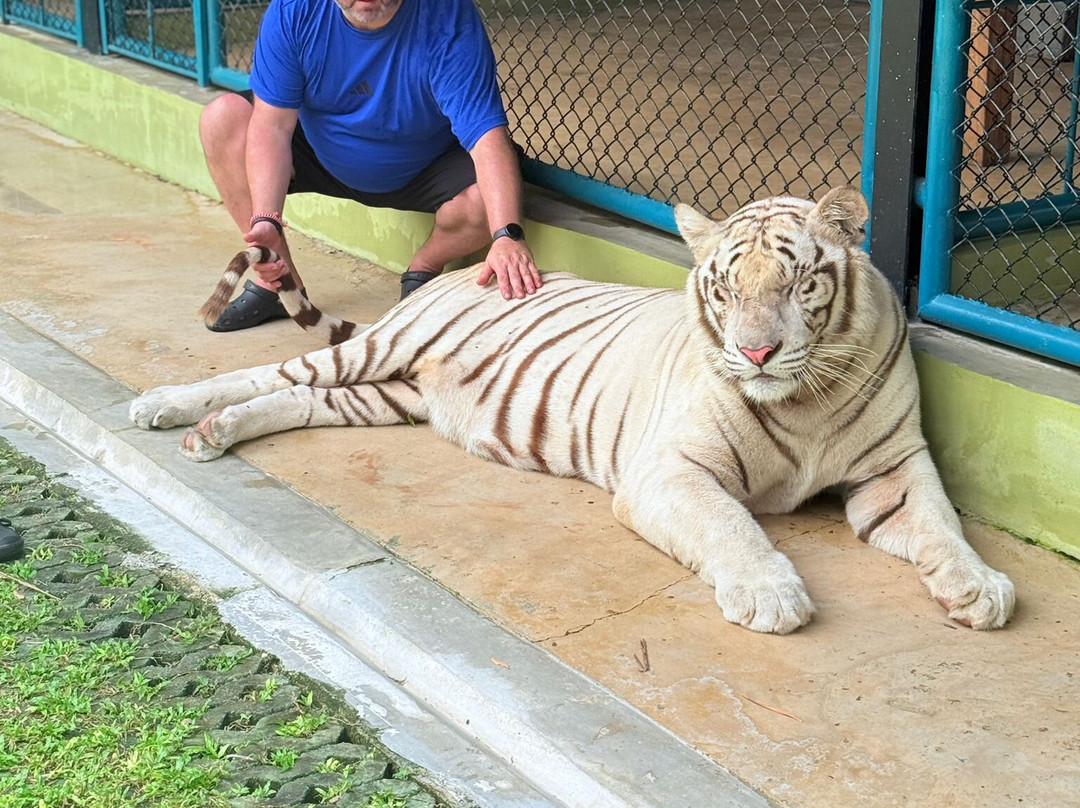 Tiger PARK Phuket-查龙必去景点