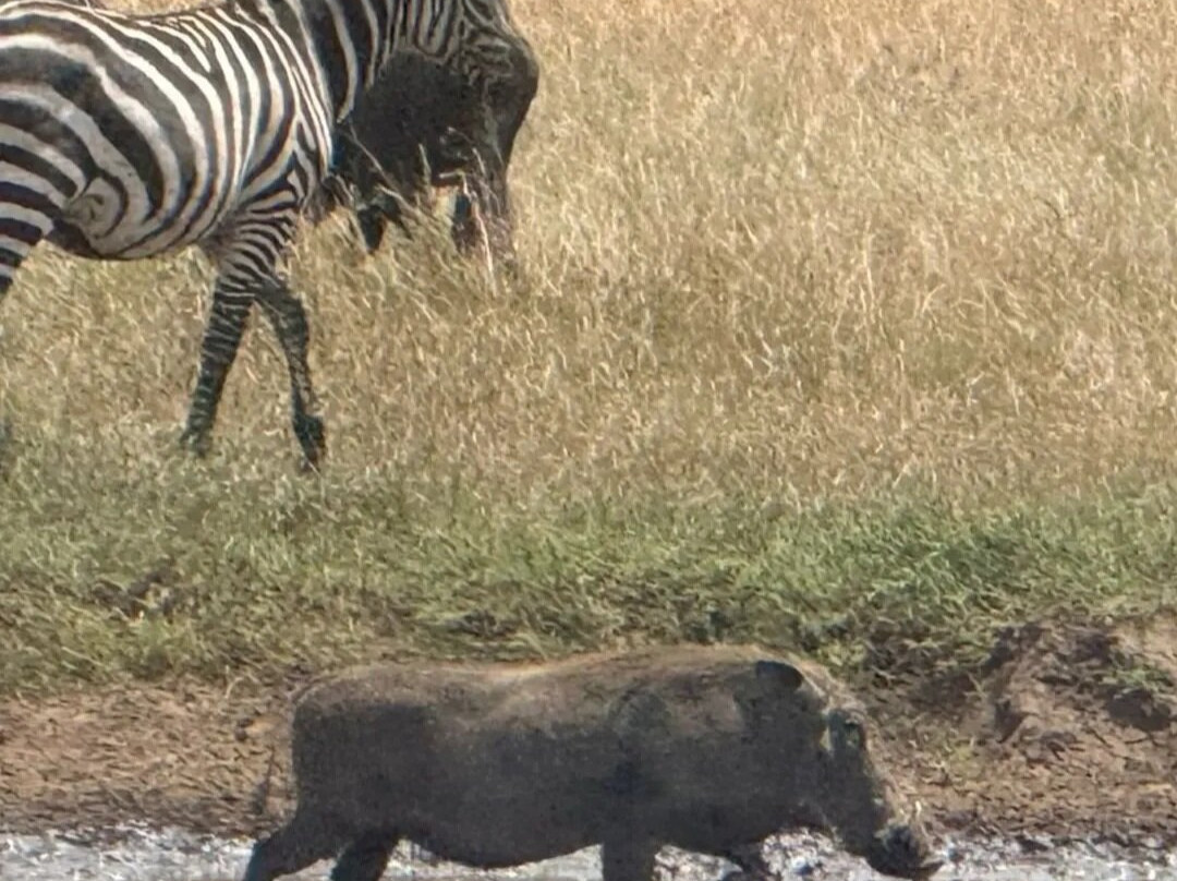 Destinations Kenya Safari-内罗毕必去景点