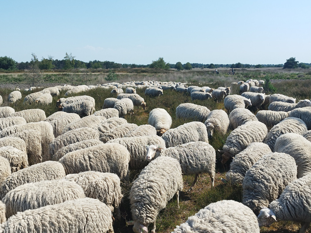 Strijdom landschapsbeheer