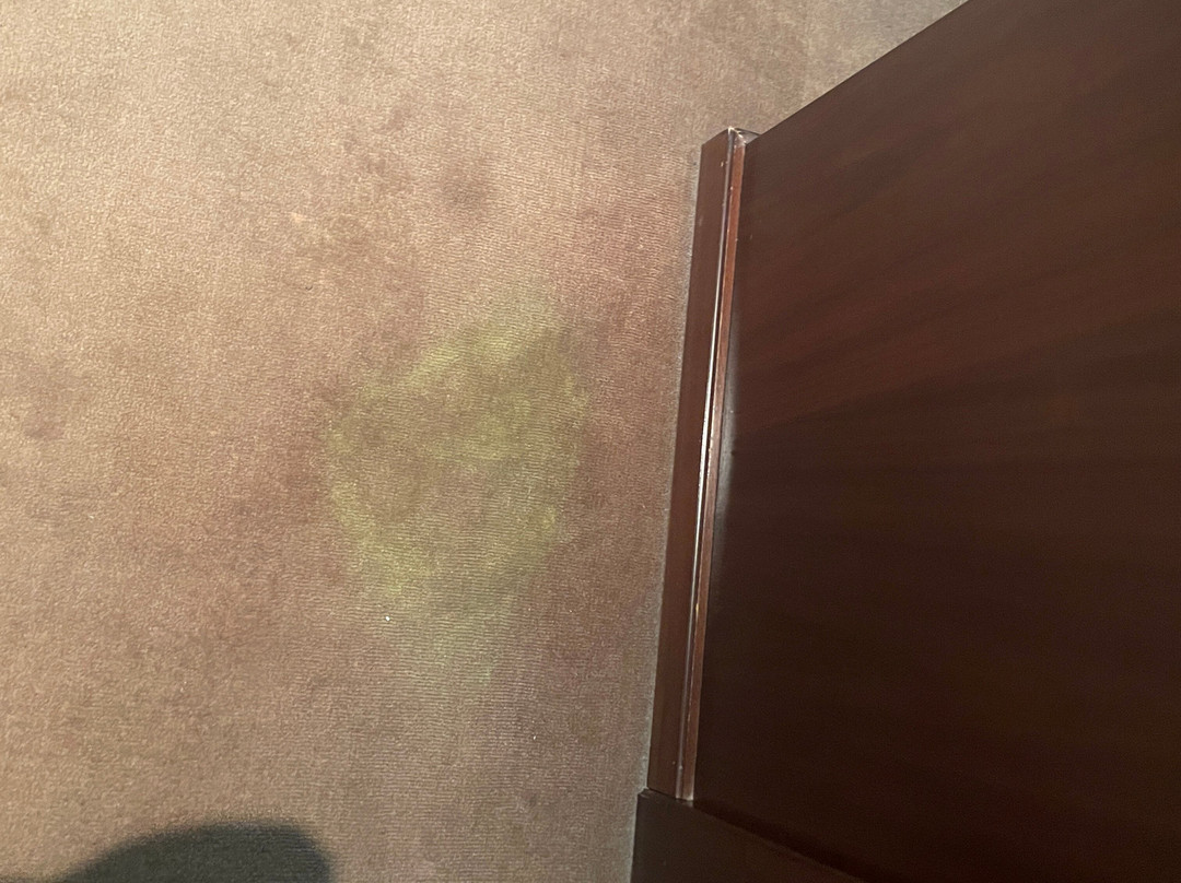克鲁卡西米希酒店主图
