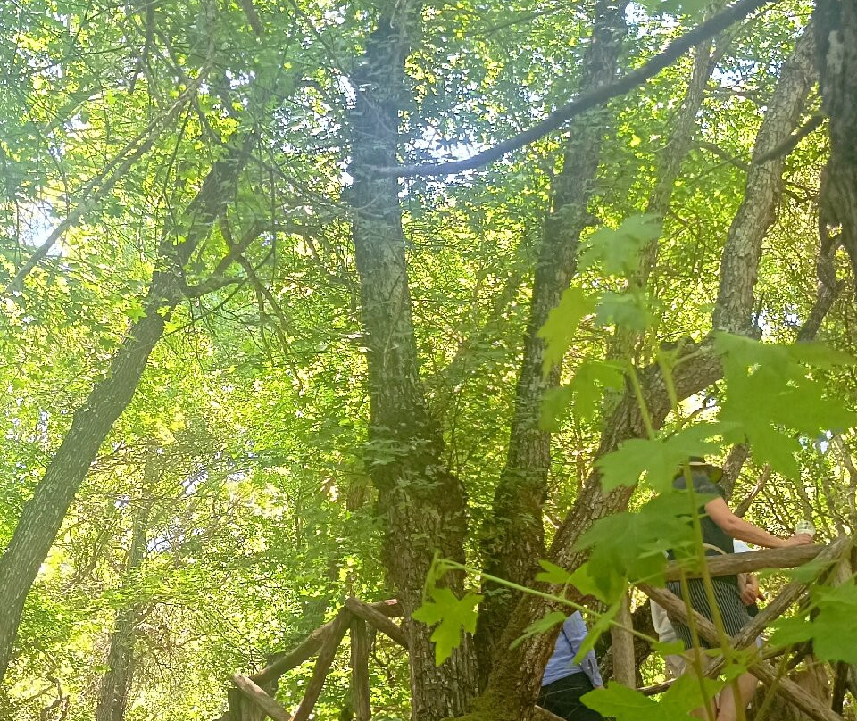 Valley of the Butterflies-Petaloudes必去景点