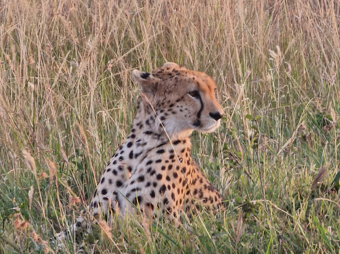 Explorer Kenya-内罗毕必去景点