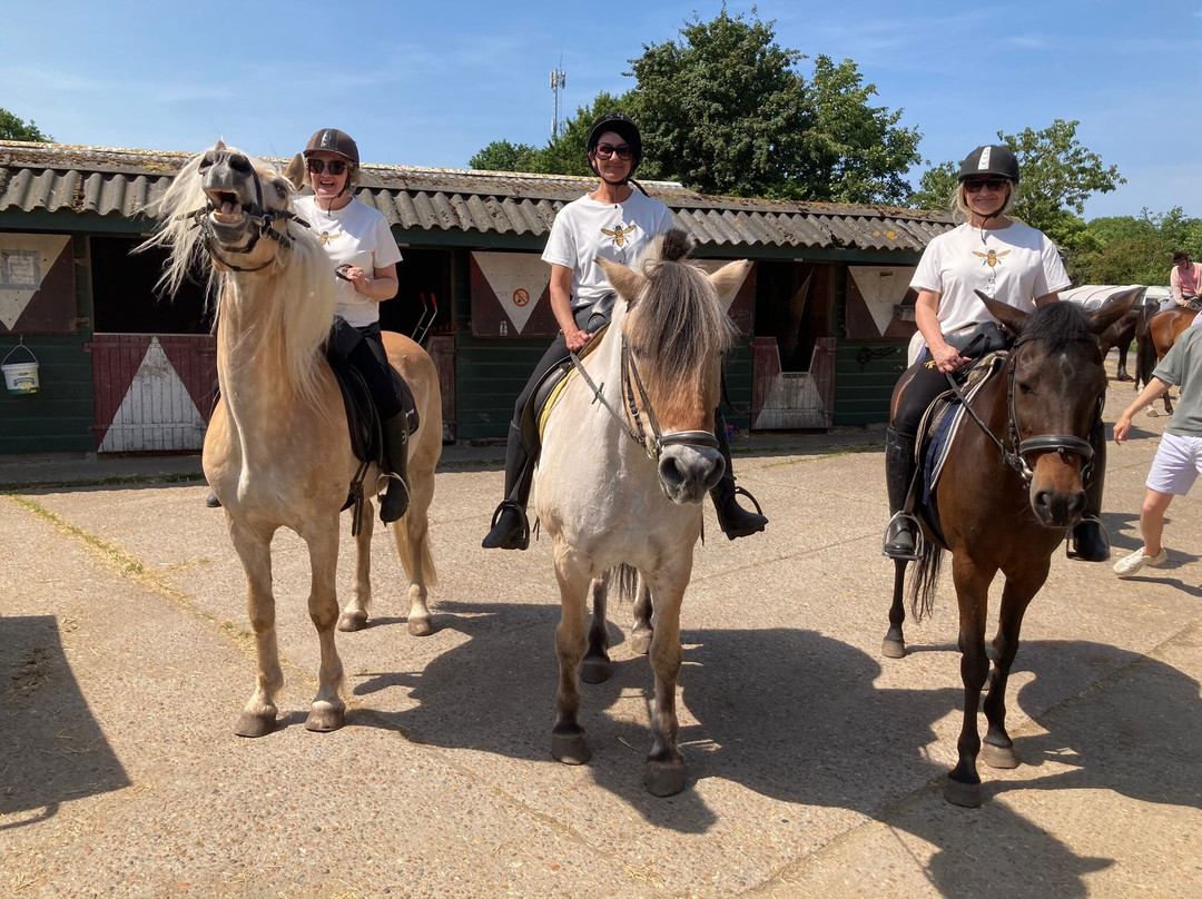Manege Grol