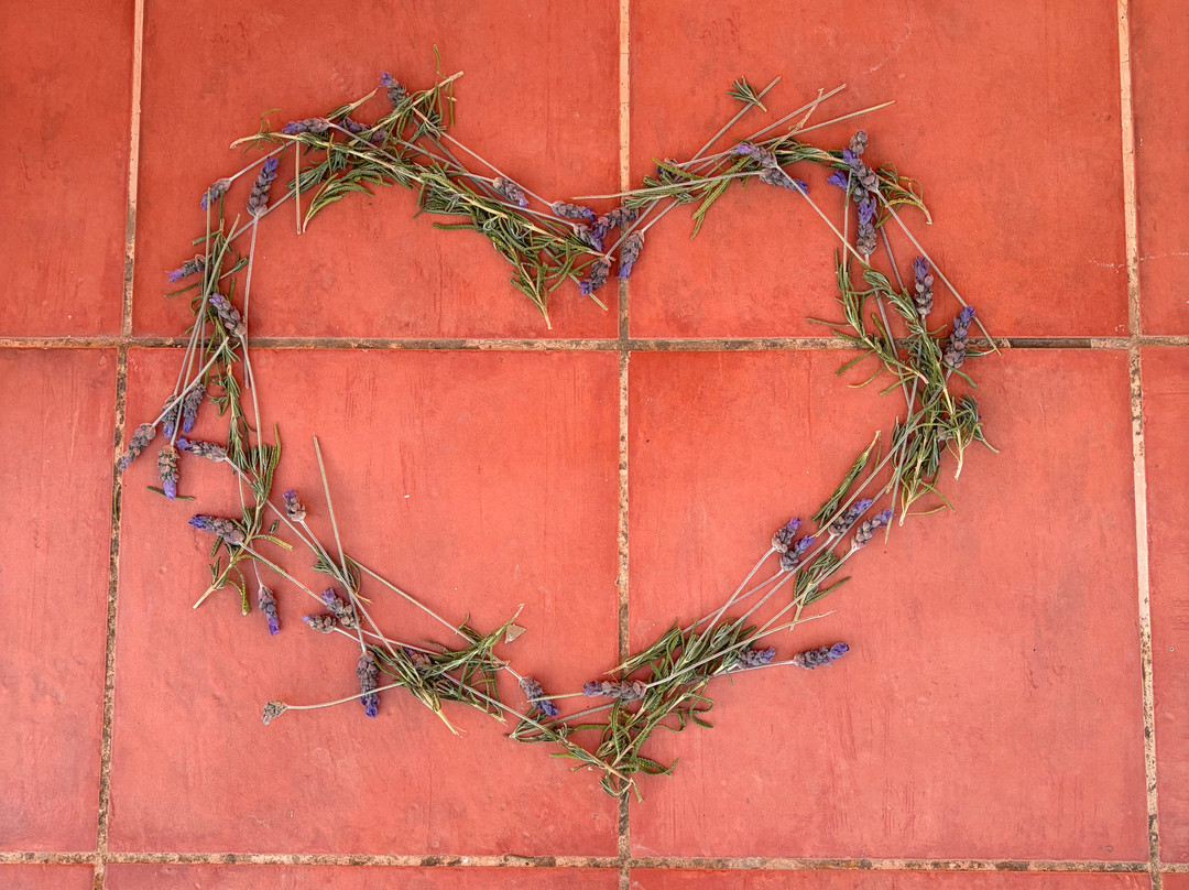 Ananda Yoga Retreats Ibiza-Port de Sant Miguel必去景点