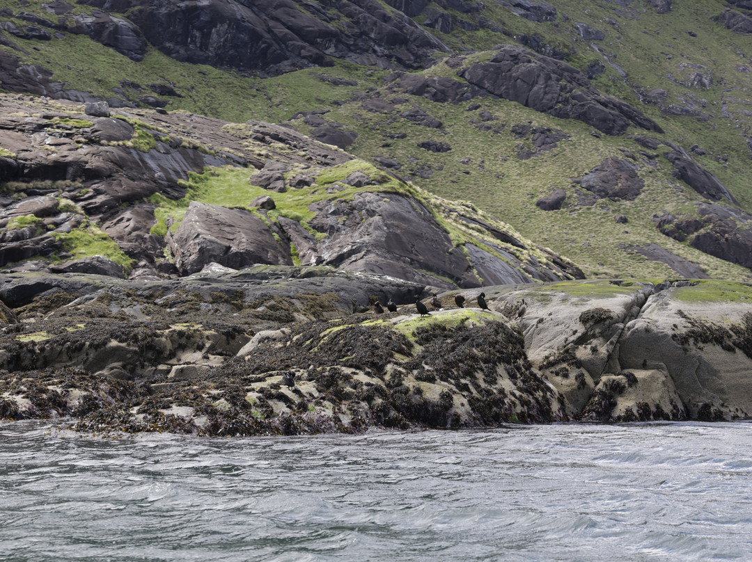 Misty Isle Boat Trips-Elgol必去景点