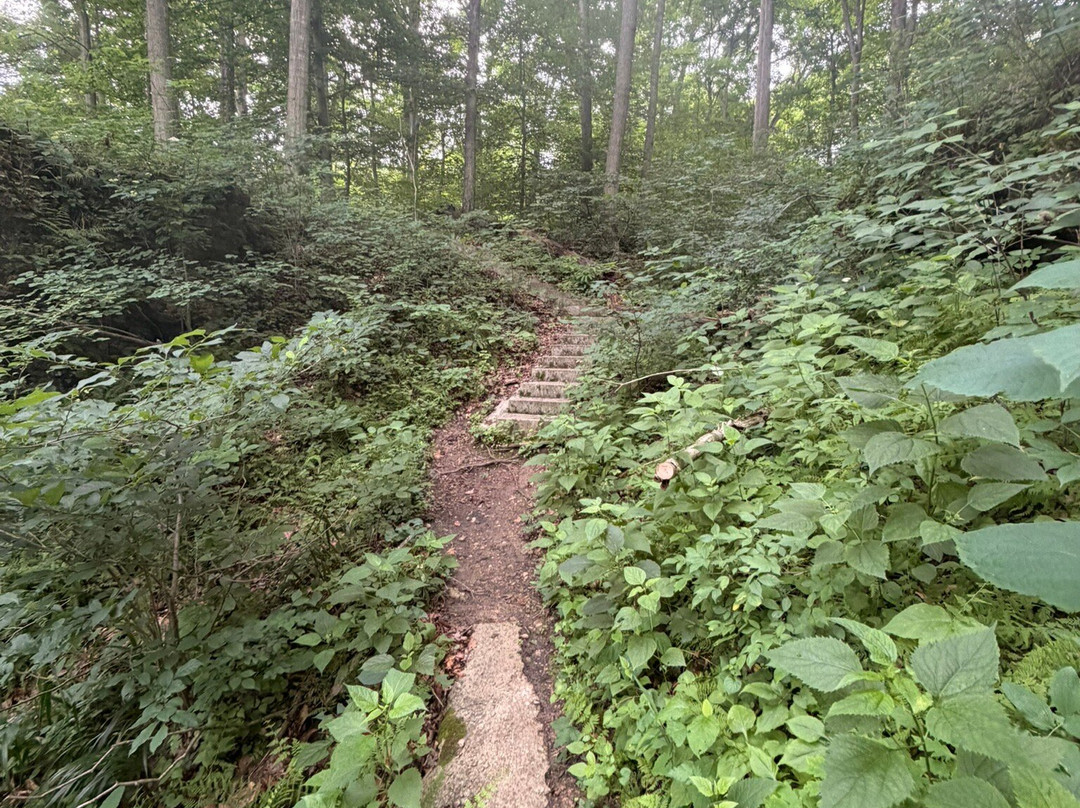 The Highlands Nature Sanctuary-Bainbridge - Ross County必去景点