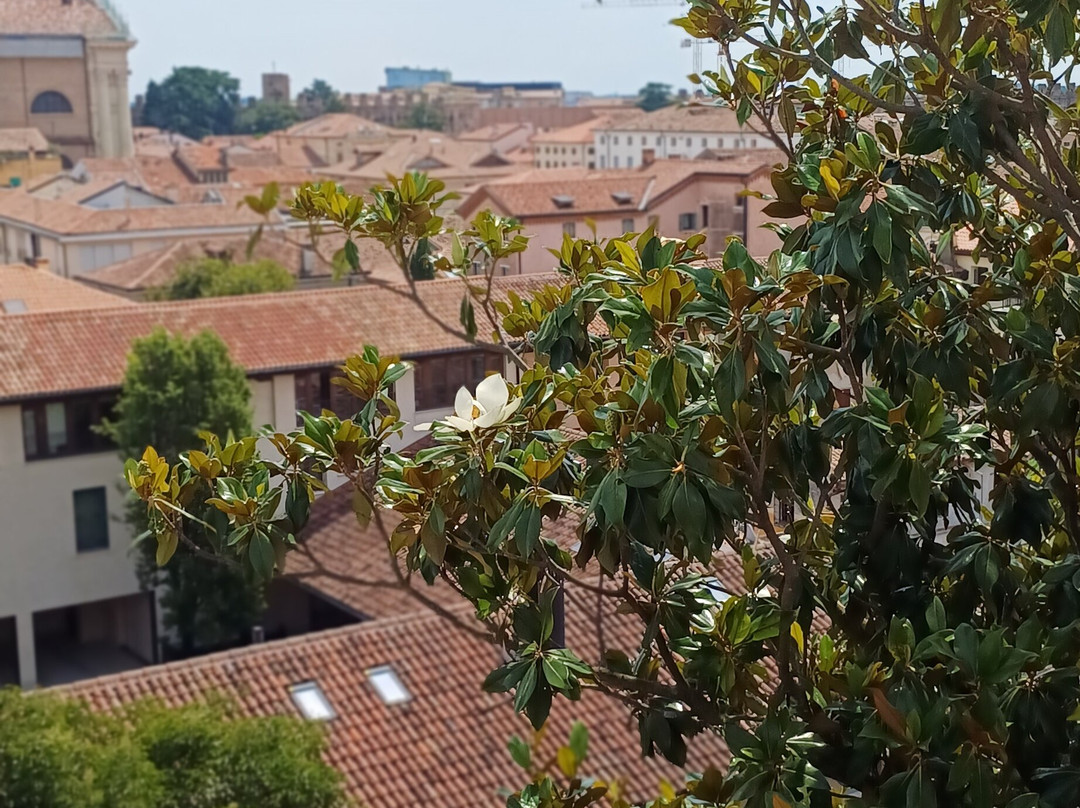 La Cinta Muraria - Camminamento di Ronda-奇塔代拉必去景点