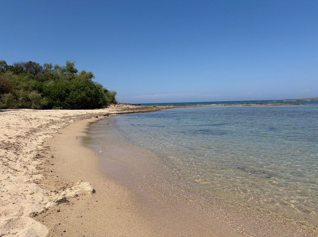 Area Marina Protetta Di Torre Guaceto-Carovigno必去景点