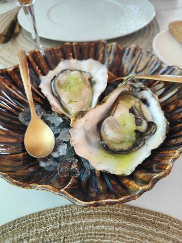 三角洲酒店-旅行者